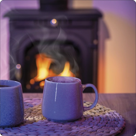 Estufa de leña de hierro fundido AGNI 7 kW