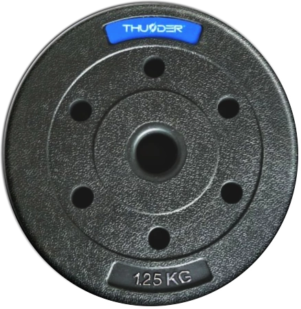 Set de pesos bituminosos de la marca THUNDER 2x5 kg + 4x2,5 kg + 8x1,25 kg